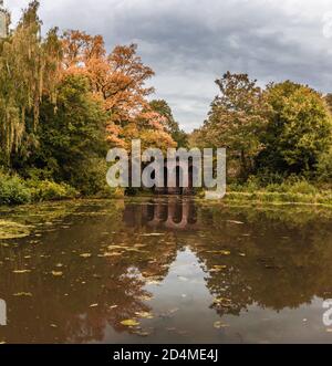 Bellezza nascosta nella Hampstead Heath di Londra. Foto Stock