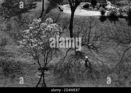 AJAXNETPHOTO. LOUVECIENNES, FRANCIA. - GIARDINO PRIVATO PER I RESIDENTI DI APPARTAMENTI IN UN DOMINIO SULLE ALTURE NORD EST DEL CENTRO VILLAGGIO CHE DOMINA IL FIUME SENNA; UNA DELLE MOLTE POSIZIONI NELLA ZONA VISITATA DA PITTORI IMPRESSIONISTI DEL 19 ° SECOLO COME ALFRED SISLEY, CAMILLE PISSARRO, AUGUSTE RENOIR E ALTRI PRIMA DELLA MODERNA RIQUALIFICAZIONE DEL PAESAGGIO. FOTO:JONATHAN EASTLAND/AJAX REF:CD81504 5C6E Foto Stock