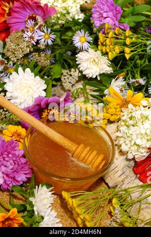 Miele di fiori. Tra il campo e fiori da giardino. Foto Stock