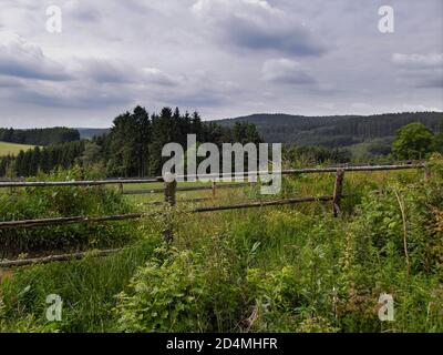 Le ravel près de Saint-Vith, provincia di Liegi, Belgio Foto Stock