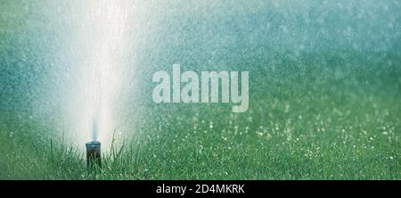 Annaffiatura automatica nel parco all'alba Foto Stock