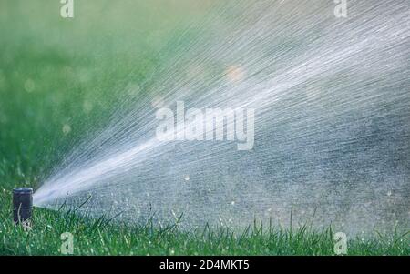 Annaffiatura automatica nel parco all'alba Foto Stock