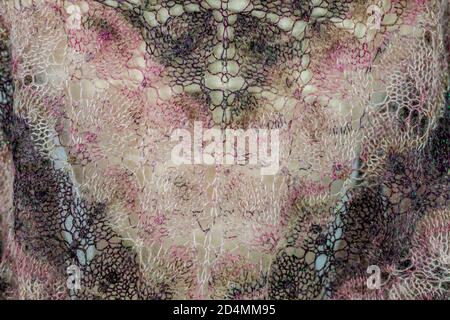 Sciarpa a maglia multicolore con gli ornamenti Foto Stock