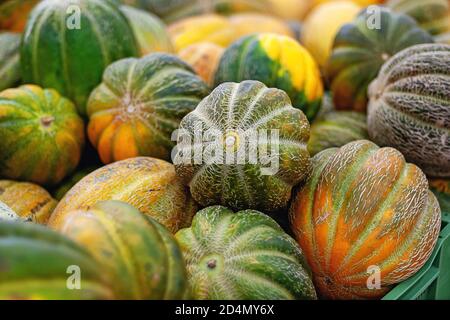 mucchio di meloni maturi nel supermercato Foto Stock