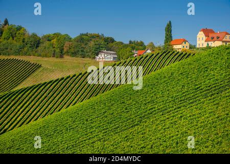 Vigneti lungo la strada del vino della Stiria meridionale, una regione incantevole al confine tra Austria e Slovenia con verdi colline, vigneti, pittoresco Foto Stock