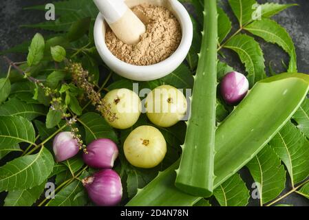 Olio Ayurvedico o olio di erbe per capelli con tulsi di erbe, foglie di curry, olio, amla bacche, polvere di amla, aloe vera ingredienti per fare la medicina Kerala, Foto Stock