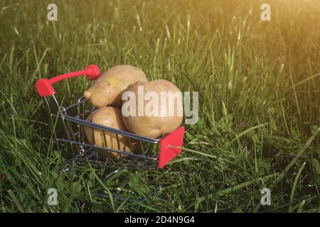 Mini carrello con patate su fondo verde. Copy space, Shopping, vendita e marketing concept Foto Stock