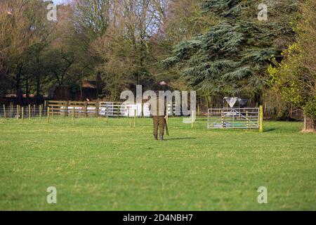 I bateri al lavoro su un tiro di gioco in Lancashire, Inghilterra Foto Stock