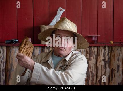 28 novembre 2018, Vinales, Pinar del Rio, Cuba. Un coltivatore locale di tabacco dimostra come far rotolare a mano un monecristo sigaro ad un gruppo di tour. Foto Stock