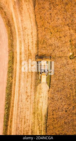 Vista dall'alto del campo di raccolta della mietitrebbia in Polonia, Europa Foto Stock