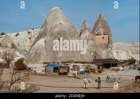 Cappadocia, Turchia. 8 Novembre 2017 Irfan Ozdogan nutrendo i suoi cavalli nel corallo del Lucky Horse Ranch, Goreme, Anatolia centrale, Turchia. Foto Stock