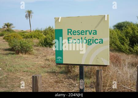 Protetto costale sabbia dune vegetazione a Calahonda, Costa del Sol, Andalucia, Spagna. Foto Stock