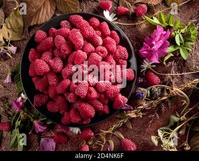 Lamponi freschi e succosi su un piatto nero. Ancora vita con lamponi, fiori e prati. Vista dall'alto. Foto Stock