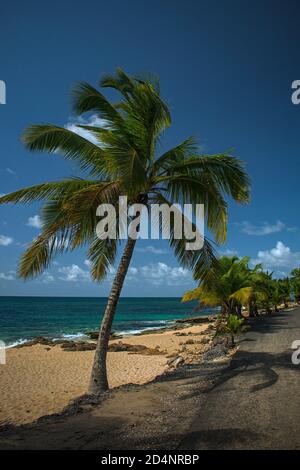 Costa di Porto Rico, zona di Los Tubos Surfimg, Vega Baja Foto Stock