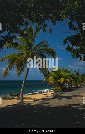 Costa di Porto Rico, area di surf 'Los Tubos' Vega Baja Foto Stock