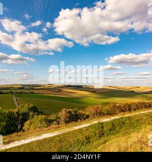 Una vista a nord di Chanctonbury Ring da Cissbury Ring nel South Downs National Park, West Sussex, Regno Unito. Foto Stock