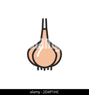 Icona linea colore aglio. Spezie per cucinare. Illustrazione vettoriale Illustrazione Vettoriale