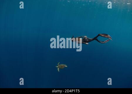 Una donna freediver sta nuotando con una tartaruga marina in un oceano blu. Foto Stock
