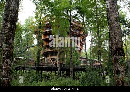 Huilo Huilo Huilo, Neltaume/Cile - Marzo 28 2014: L'Hotel Nothofagus Foto Stock