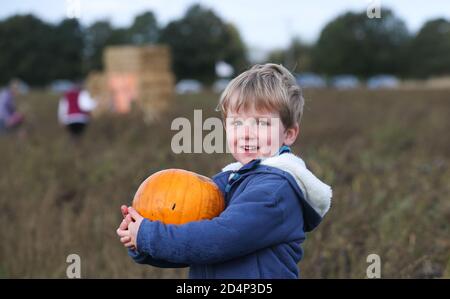 Fordingbridge, Regno Unito. 10 ottobre 2020. Le famiglie si dirigono verso i pascoli di zucca di Fordingbridge nell'Hampshire per scegliere le loro zucche prima di Halloween. Archie Hawker, 4, si prende a pugnale con la sua zucca. Credit: Richard Crease/Alamy Live News Foto Stock