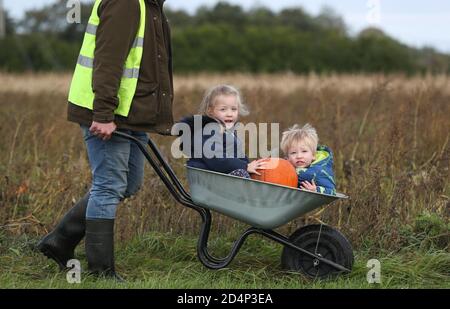 Fordingbridge, Regno Unito. 10 ottobre 2020. Louise e Oliver Burden attacano una corsa nella carriola mentre le famiglie si dirigono verso i pascoli di zucca di Fordingbridge nell'Hampshire per scegliere le loro zucche davanti ad Halloween. Credit: Richard Crease/Alamy Live News Foto Stock