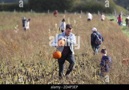 Fordingbridge, Regno Unito. 10 ottobre 2020. Le famiglie si dirigono verso i pascoli di zucca di Fordingbridge nell'Hampshire per scegliere le loro zucche prima di Halloween. Credit: Richard Crease/Alamy Live News Foto Stock