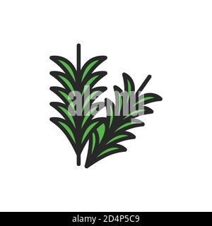 Icona di colore nero del ramo del rosmarino. Erbe e spezie. Illustrazione vettoriale Illustrazione Vettoriale