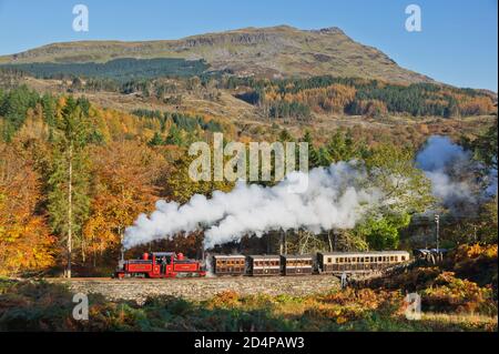 Double Fairlie No.12 David Lloyd George arrotonda fischio curva con La FR Vintage Set Ffestiniog Railway Novemebr 2015 Foto Stock