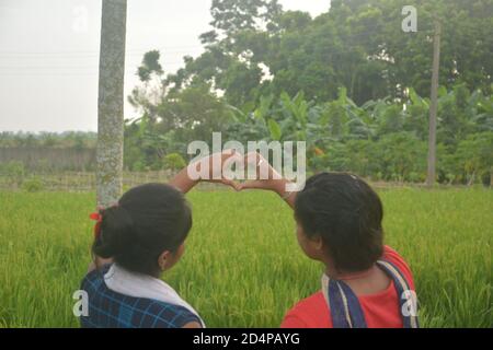 Primo piano di due ragazze adolescenti con mani sollevate che fanno segno d'amore in un campo di risaie con piante verdi, messa a fuoco selettiva Foto Stock
