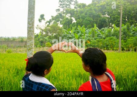 Primo piano di due ragazze adolescenti con mani sollevate che fanno segno d'amore in un campo di risaie con piante verdi, messa a fuoco selettiva Foto Stock