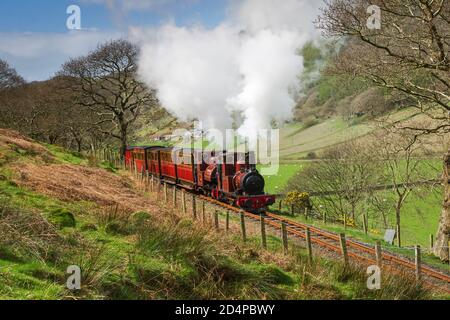 Una scena che ricorda il 1880 con un misto di treno in avvicinamento Abergynolwyn Foto Stock