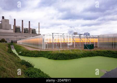 Parco serra presso la centrale elettrica a lignite Neurath a Grevenbroich, Nord Reno-Westfalia, Germania. La vicina centrale elettrica di RWE Power p Foto Stock