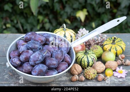 prugne fresche in colander d'epoca Foto Stock
