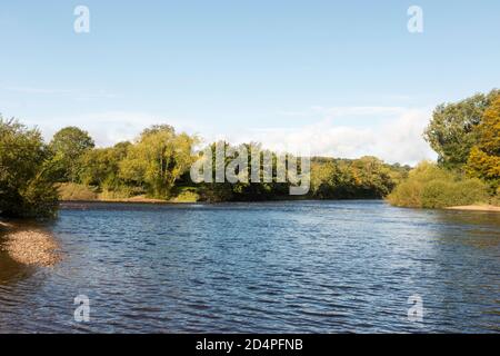 La confluenza dei fiumi Tyne Sud e Nord ad ovest di Hexham nel Northumberland, Inghilterra, Regno Unito. Il Sud Tyne visto entrare da sinistra. Foto Stock