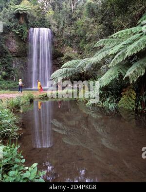 Australia. Queensland. Atherton Tableland. Turisti alle cascate Millaa Millaa e nella foresta pluviale. Foto Stock