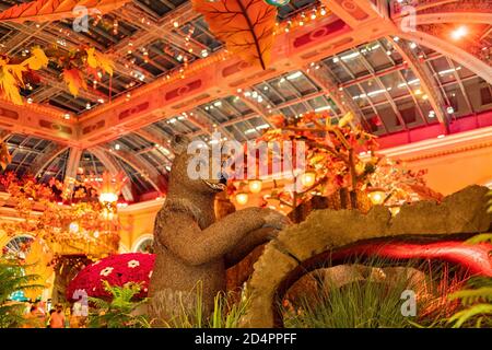 Las Vegas, 25 SETTEMBRE 2020 - Vista notturna interna del Bellagio Conservatory e dei Giardini Botanici Foto Stock