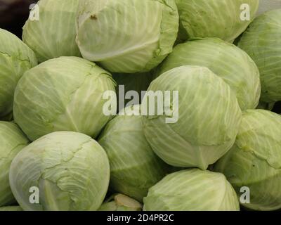 Farm stand fresco con teste di cavolo. Foto Stock