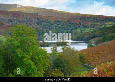 Lake District, Regno Unito. 10 Ott 2020. Colori autunnali in mostra a Rydal Water, Rydal, Ambleside nel Lake District, UK Credit: John Eveson/Alamy Live News Foto Stock