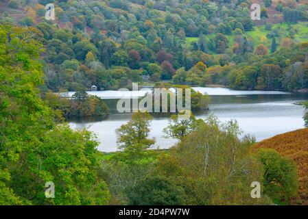 Lake District, Regno Unito. 10 Ott 2020. Colori autunnali in mostra a Rydal Water, Rydal, Ambleside nel Lake District, UK Credit: John Eveson/Alamy Live News Foto Stock