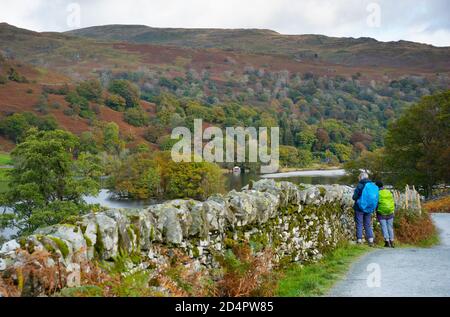 Lake District, Regno Unito. 10 Ott 2020. Colori autunnali in mostra a Rydal Water, Rydal, Ambleside nel Lake District, UK Credit: John Eveson/Alamy Live News Foto Stock