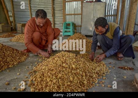 Srinagar, JAMMU e KASHMIR, India. 10 Ott 2020. I contadini ordinano i noci durante la stagione del raccolto alla periferia di Srinagar. Credit: Saqib Majeed/SOPA Images/ZUMA Wire/Alamy Live News Foto Stock