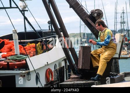 Barche da pesca e pescatori attraccate a Bodega Bay, CA, USA Foto Stock