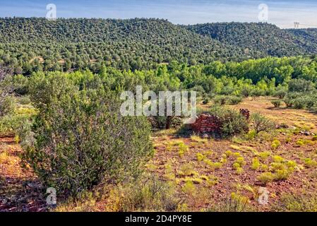 Rovine di una vecchia casa vicino alla confluenza di Hell Canyon, Bear Canyon, e il fiume Verde nella Prescott National Forest vicino Paulden Arizona. Foto Stock