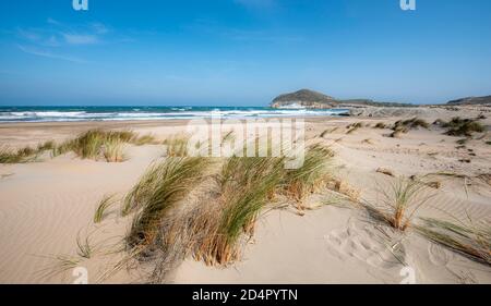 Dune di sabbia sulla spiaggia, Playa de Los Genoveses, Parco Nazionale Cabo de Gata-Nijar, Almería, Spagna, Europa Foto Stock