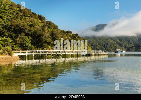 Ngakuta Bay, Marlborough Sounds, Picton, Isola del Sud, Nuova Zelanda, Oceania Foto Stock