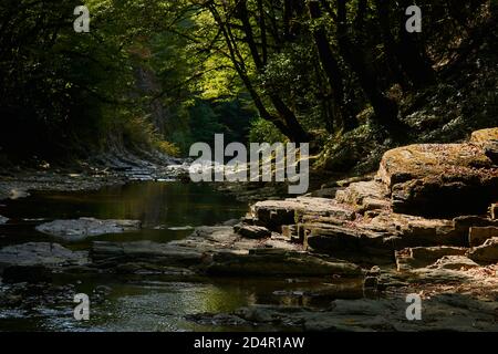 tranquillo fiume di montagna in un canyon ombreggiato tra la vegetazione tropicale Foto Stock