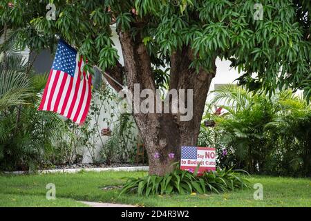 una bandiera americana appesa ad un albero Foto Stock