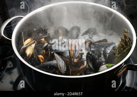 Cottura delle cozze blu in una pentola di acciaio con brodo bollente, cipolle ed erbe su una stufa nera, cottura di una deliziosa ricetta di pesce, fuoco selezionato, stretto Foto Stock