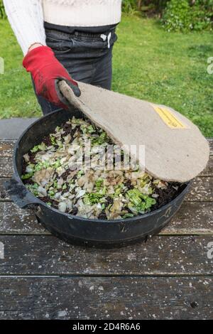 Peelings vegetali in un contenitore di vermicompost. Foto Stock