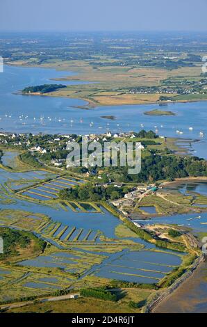 Francia, Morbihan, Golfo di Morbihan, Parco Naturale Regionale del Golfo di Morbihan, le tour du Parc, fiume Penerf (vista aerea) Foto Stock